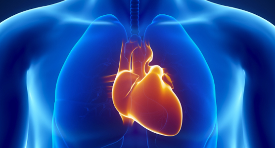 Abnormalities of Heart Rhythm